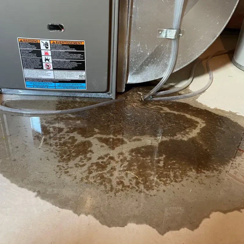 Appliance Leak Cleanup in Minden, NV